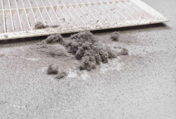 Best Air Duct Cleaning Near Me  in Poquott, NY